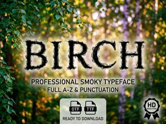Birch: The Decorative Display Font for Bold, Unforgettable Designs