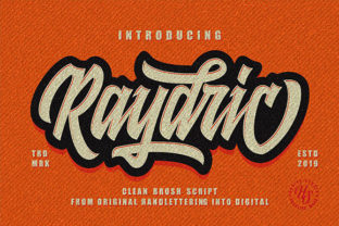Strategic Typography: Leveraging Raydric Script Shadow Outline for Impact