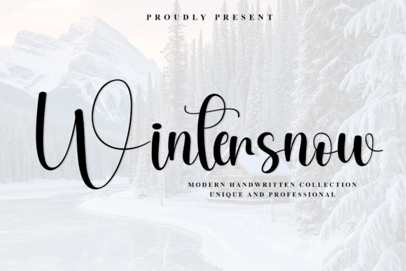 Wintersnow: Integrating a Signature Script into Your Professional Workflow